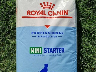 Royal canin mini Starter,Adult z Francúzska