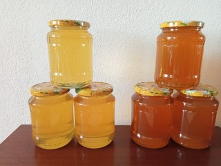 Pravý včelí med