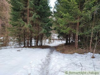 Pozemok pri potoku v lese, Nízke Tatry