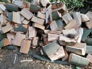 Kvalitné sypané palivové drevo - dub, buk, hrab