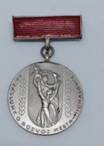 Medaila Za zásluhy o rozvoj mesta Michalovce Cena