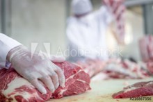Rakúsko - pomocné práce v mäsopriemysle
