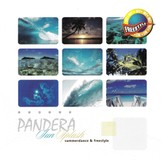 Pandera – Sun Splash Summerdance & Freestyle