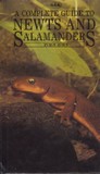 Bjorn B.:A Complete Guide to Newts and Salamanders